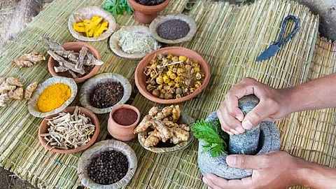 மூலிகை வைத்தியம்