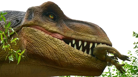 Dinosaur