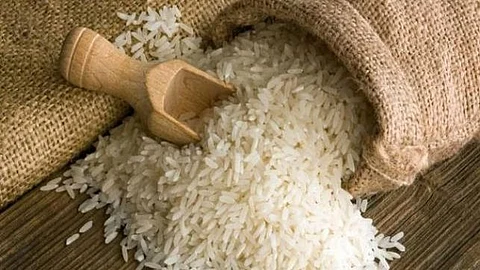 Jasmine Rice