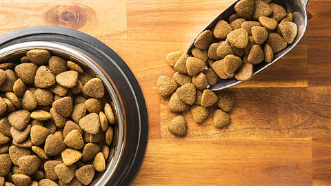 Dog Food