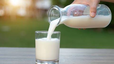 Milk