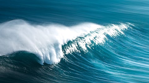 வளைகுடாவுக்கும் விரிகுடாவுக்கும் உள்ள வித்தியாசம் என்ன தெரியுமா?