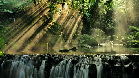 அமேசான் : காடுகளுக்கு அடியில் புதைந்த நகரம்