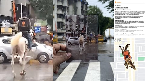 குதிரையில் சென்ற நபர்