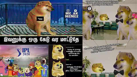 meme