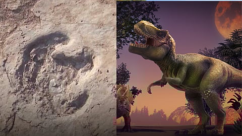 Dinosaur
