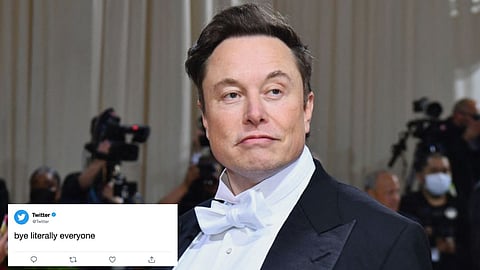 Twitter : தூக்கி எரியப்பட்ட ஊழியர்கள்; எலான் மஸ்க் மீது வழக்கு - என்ன நடக்கிறது?