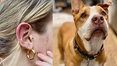 woman's heartfelt tattoo tribute to her dog