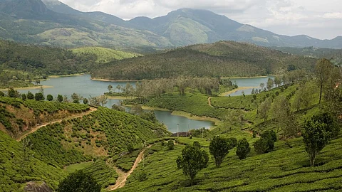 Yelagiri