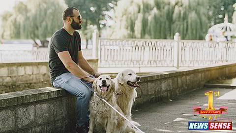 History of Guide Dogs