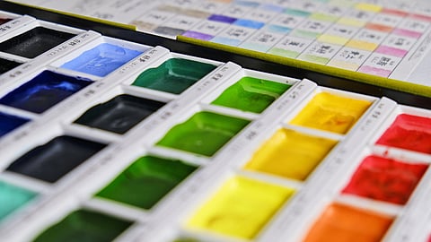 Edward Forbes Pigment: உலகிலேயே அரிதான நிறங்கள் எவை தெரியுமா? - ஒரு கலர்ஃபுல் தகவல்!