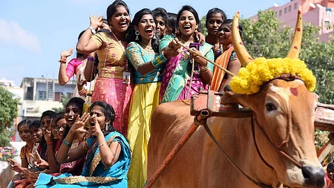 பண்டிகையின் போது தமிழ்நாட்டில் பார்க்க சிறந்த இடங்கள்