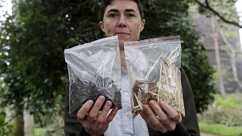 New York approves human composting