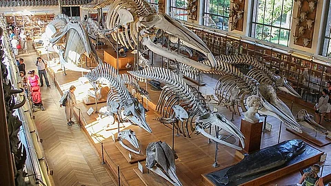 5 Best History Museums