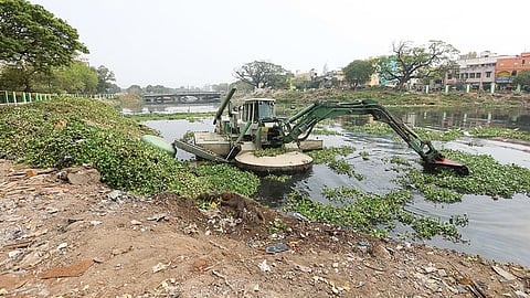 கூவம் : இந்தியாவிலேயே மாசுபாடான நதி - அதிரவைத்த ஆய்வறிக்கை!
