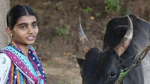 ஜல்லிக்கட்டு : "தோத்த இடத்தத்தில தான் ஜெயிக்கணும்" - வீர தமிழச்சியின் சபதம்