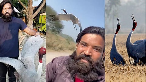 உயிர்காக்க உதவியவரை தினமும் பின்தொடரும் கொக்கு : நெகிழ்ந்த இளைஞர் - Viral Video