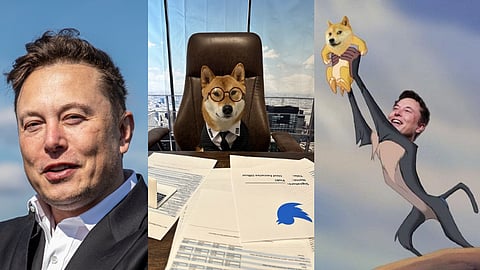 Elon Musk : வளர்ப்பு நாயை ட்விட்டர் CEO ஆக்கிய மஸ்க் - பராக் அகர்வால் அவமதிக்கப்பட்டாரா?