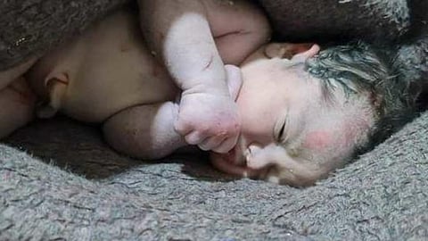 சிரியா : நிலநடுக்கத்தில் பிறந்த குழந்தை; தாய் மரணம் - மனதை உருக்கிய வீடியோ