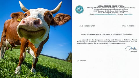 Cow Hug Day : மாடு கட்டிப்பிடிக்கும் தினத்தை கைவிட்டதா அரசு?