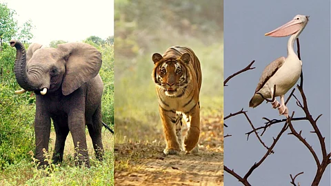 ஈரோடு : பவானி முதல் சத்யமங்கலம் வரை - சுற்றிப்பார்க்க சிறந்த இடங்கள் என்ன?