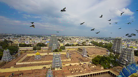 மதுரை : மீனாட்சி அம்மன் முதல் கறி தோசை வரை - நீங்கள் தெரிந்து கொள்ள வேண்டிய 6 விஷயங்கள்