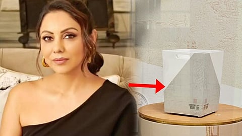 Shah Rukh Khan: கௌரி கான் டிசைன் செய்த குப்பைத் தொட்டி 15,000 ரூபாயா ? நெட்டிசன்கள் ஷாக்!