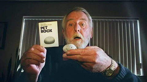 Pet Rock : கல்லை விளம்பரப்படுத்தி கோடிகளை சம்பாதித்த வித்தகர் - கேரி டல்லின் ஆச்சரிய கதை!