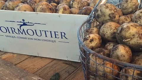 ஒரு கிலோ உருளைக் கிழங்கு ரூ.50,000 ஆ? அரிய வகை கிழங்கில் என்ன ஸ்பெஷல்?