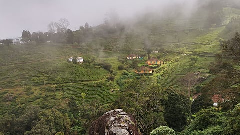 தமிழ்நாடு : கோத்தகிரி முதல் ஜவ்வாது மலை வரை - அறியப்படாத சுற்றுலாத் தளங்கள்!