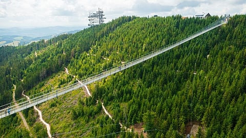 Sky Bridge : 3,000 அடி உயரத்தில் உலகின் நீளமான தொங்கும் பாலம் - கட்டணம் 1,100 ரூபாய்தானா?