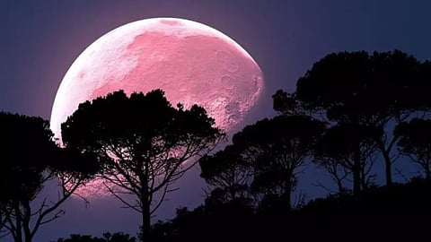 What is ‘Pink Moon’? What time was it visible?