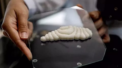 3D பிரிண்டிங் முறையில் மீன் சதையை உருவாக்கிய ஆராய்ச்சியாளர்கள் - எப்போது சாப்பிடலாம்?