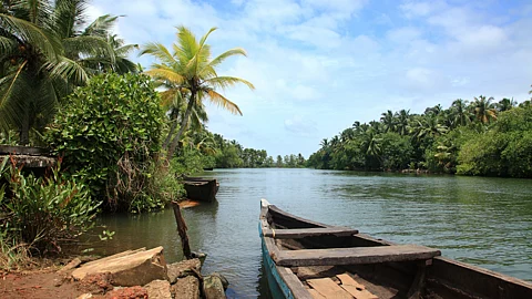Kerala: Backwaters என்றால் என்ன? கேரளாவின் அழகிய உப்பங்கழிகள் இதோ!