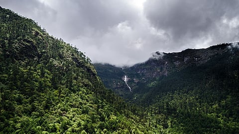 Mizoram to Kerala : Indian states with largest forest cover
