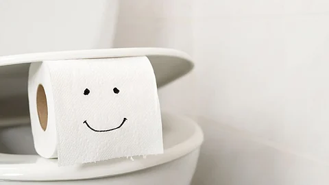 bizarre toilet facts from around the world