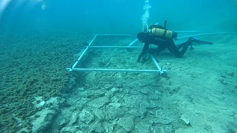 7,000-Year-Old Submerged Road Discovered Under The Mediterranean Sea