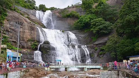 குற்றாலம்: ஊட்டி போன்ற மலைப்பாதை, துள்ளி குதிக்கும் மான்கள் - இந்த அருவிகளை தெரியுமா?