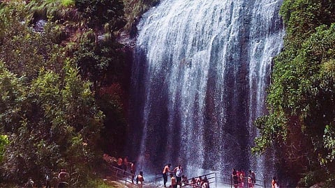 Namma falls : கொல்லிமலையில் இப்படி ஒரு அருவியா? நாமக்கலில் இருக்கும் சூப்பர் பட்ஜெட் Spot
