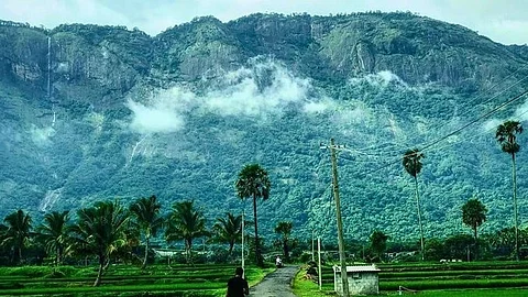 கேரளா: இந்தியாவின் அழகான கிராமத்தில் மக்கள் அவதி - பாலக்காட்டு சொர்க்கம் பரிதவிப்பது ஏன்?