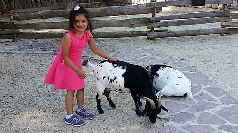 10-Year-Old Indian-Origin Girl Visits 50 Countries Without Missing School