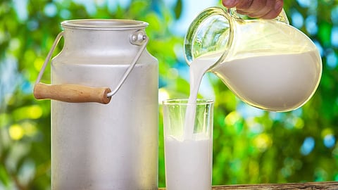 Morning Or Night? What Is The Right Time To Drink Milk