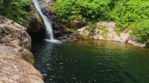 சென்னைக்கு அருகில் பிக்னிக் செல்ல சூப்பர் ஸ்பாட் - Nagalapuram Aare Waterfalls தெரியுமா?