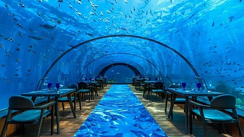 Underwater restaurants in the Maldives for a surreal experience!
