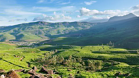 கேரளாவில் மறைந்திருக்கும் தேவிகுளம் பற்றி தெரியுமா?