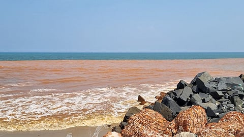 Puducherry Sea Water Turns Red For 3rd Time In A Month