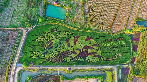 வயலில் சித்தரிக்கப்பட்ட பூனை - தாய்லாந்து கலைப்படைப்பின் பின்னணி என்ன?