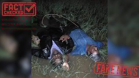 Chennai Flood: "மின் ஊழியர்கள் பலி" என பொய் செய்தி பரப்பும் திமுக ஆதரவாளர்கள் - Fact Check