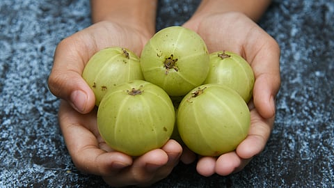 "குளிர்கால பிரச்னைகளை தீர்க்கும் நெல்லிக்காய்" - என்னென்ன நன்மைகள் கிடைக்கும்?