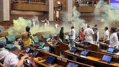 நாடாளுமன்ற வளாகத்தில் புகைகுண்டு வீச்சு - எம்.பிக்கள் சொல்வதென்ன?
